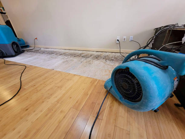 Professional Emergency Water Damage technician working in Brook Park, OH